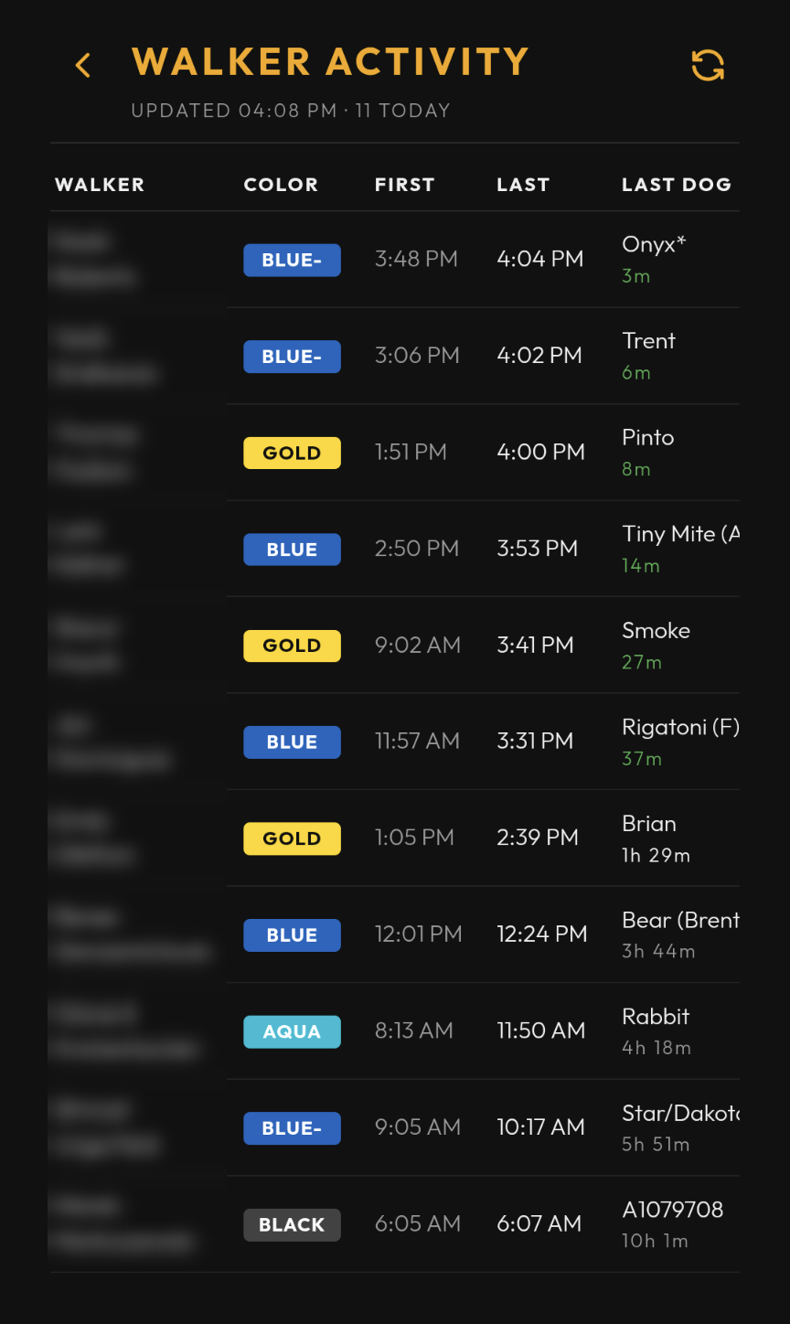 Screenshot: Walker Activity, one row per walker active today
