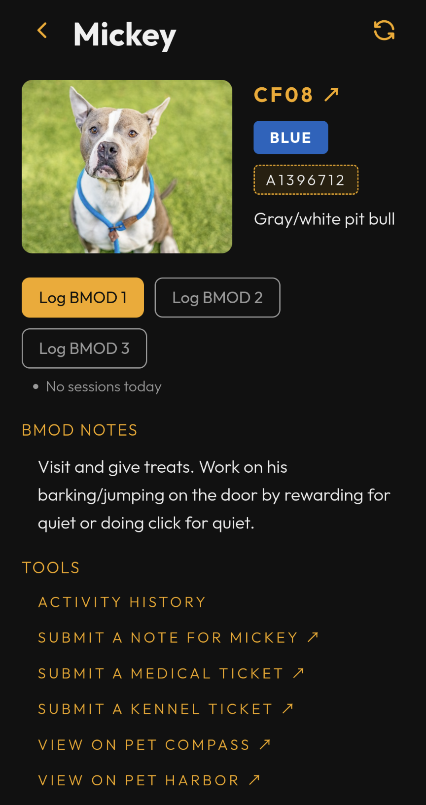 Screenshot: Behavior page with no sessions logged yet, Log BMOD 1 available and Log BMOD 2 and 3 waiting