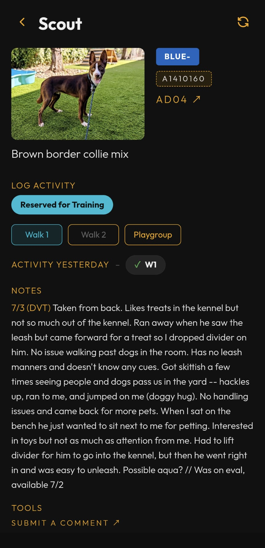 Screenshot: Dog page LOG ACTIVITY with Walk/Playgroup buttons and a logged time
